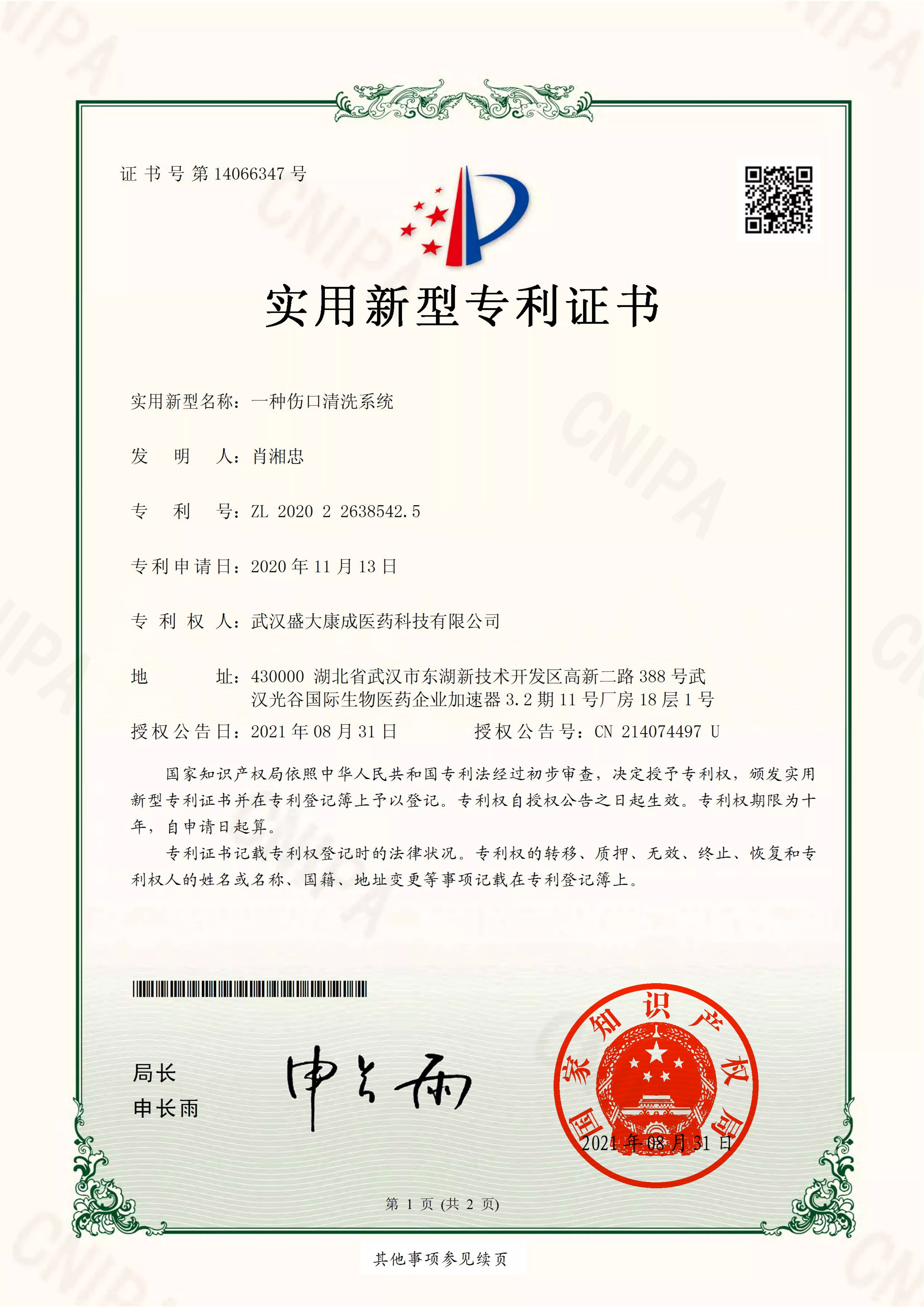伤口清洗系统